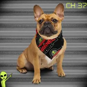 Channel 37 Online All-over Print Bandana